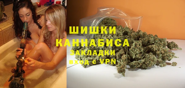мдпв Новозыбков
