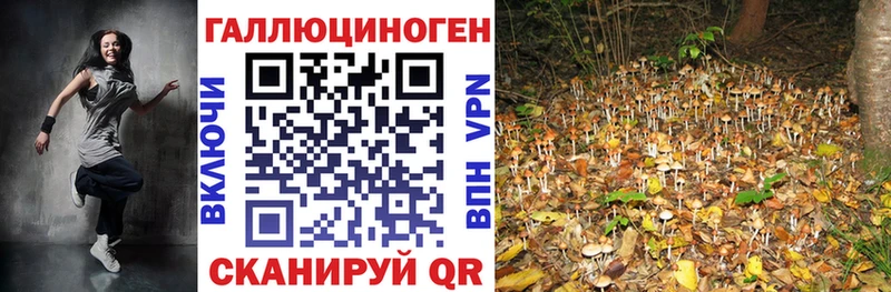 что такое наркотик Питкяранта MEGA ссылка Галлюциногенные грибы Magic Shrooms